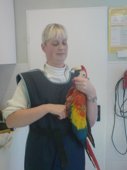 Dr. med. vet. Dunja Koball-Menin